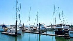 廣州南沙遊艇發展圓桌會議議題